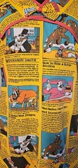 Vintage Disney Windwagon Smith Novelty Print Custom Drop Waist Dress *Plus Size