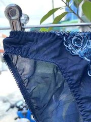 Vintage Silky Navy Polyester Nylon Panties Sheer Lace Hi Cut Bikini Briefs SZ.5