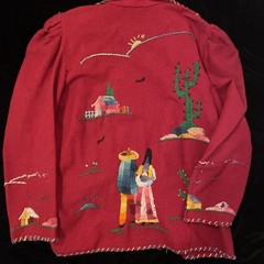 Vtg 1950s Mexico Souvenir Wool Embroidered Jacket S