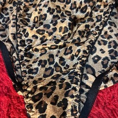 Vintage 90s Leopard Silky Glossy Satin String Bikini Panties Plus 1X