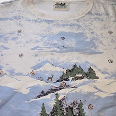 Vtg Northern Reflections Sweatshirt XL Grandmacore Cottagecore Nature Flaws