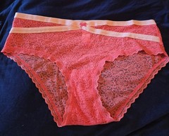Vintage Y2k No Boundaries Size Large Lace Panties Bikini Sexy HOT Mcbling