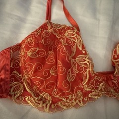 Vintage Lovable L134 Sunkissed Red & Gold Lace Underwire Bra – Size 36B (NWT)