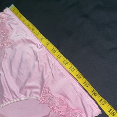 Delta Burke Underwear Panties Woman’s SZ 10/3X Briefs NOS Poly/spandex PLUS NEW