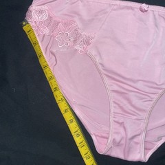 Delta Burke Underwear Panties Woman’s SZ 10/3X Briefs NOS Poly/spandex PLUS NEW