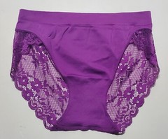 Satin Strech Bikini Panty Nylon Spandex Floral LACE Back 5/S Purple