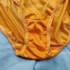 Vtg Fruit Of The Loom Sz-7 Sheer Nylon Hi Waist Brief Panties