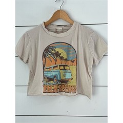 Altar’d State Graphic Crop Tee retro vintage style indie sleaze