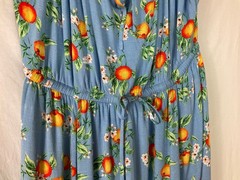 Torrid Maxi Blue Floral Apple Design Fabric Dress Women Lined Long Dress Sz 2