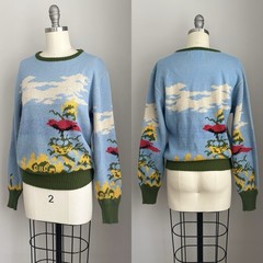 Vintage 60’s 70’s Expressions by Campus Cardinal Bird Scenic Novelty Sweater S/M