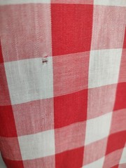 Vtg 50s/60s Shirt Womens Sz Sm Red White Check Loop Collar Distressed Rockabilly