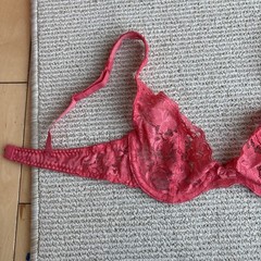 Vintage Victoria’s Secret Gold Label Bra 32A Made in USA Pink Lace Underwire