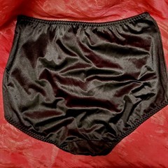 Vtg Panties Shiny Silky Smooth Nylon Gusset Size 9 2XL Sissy Sexy Granny Panty