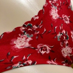 Curvy Hi-Cut Thigh Panty Invisible Panty Line Panties Jessica Simpson Medium / 6