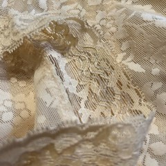 Rago of New York Lace Shaper Girdle w/Garters Style 6207 NWOT~Vntge Size 8X/46