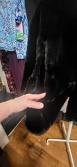 Vintage 1930-40 Black Northern Seal/Dyed Sheared Rabbit Shawl / Caplet