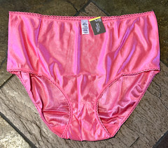 SECRET TREASURES 10/3XL BRIGHT PINK Silky Hi Shine SATIN Brief Panty NWT Vintage