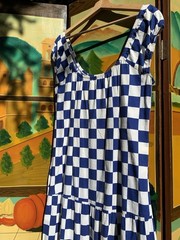 1970’s Checkerboard Print Blue and White Dress