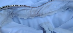 Goddess Bombshell Cosplay Egypt Long Sleeve Mermaid Cleopatra Gown Gold Metals M