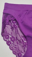 Satin Strech Bikini Panty Nylon Spandex Floral LACE Back 5/S Purple
