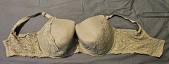 Torrid 360 Back Smoothing Underwire Bra 38G Lace Wing Plunge Grey Taupe