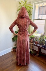 Vintage 1970s Velour Hooded Maxi Dress Witchy Disco Goddess by Carlye