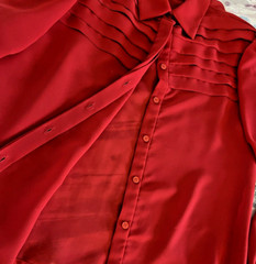 Lloyd Williams Red Blouse, Tucked Bodice sz 10 polyester