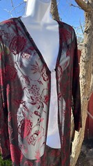 Vintage 90s Y2K Sheer Dress Vampy Whimsigoth Grunge Fairy Witchy Practical Magic