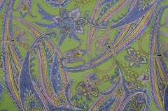 Ralph Lauren Sport Multicolor Paisley Chino Shorts Skort Skirt Women Size 8