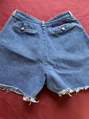 Cathy Hardwick 70s Vintage Hi Rise Blue Jean Shorts Waist 25 1/2