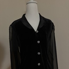 Another Thyme Women’s Black Vintage Velvet Sheer Sleeve Satiny Blouse Goth