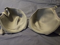 Torrid 360 Back Smoothing Underwire Bra 38G Lace Wing Plunge Grey Taupe