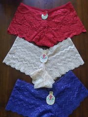 Vintage Dynashape Red Beige Blue Lace Short Hi Cut Panties Size Medium 6