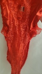 RARE VINTAGE MIDNIGHT HOUR SILKY RED ROSE NYLON CHIFFON BODYSUIT TEDDY NWT! Med