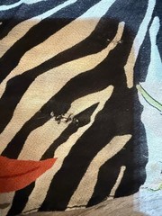Vtg 90s Nostalgia Floral Zebra Maxi Dress Sheer S Whimsigoth Fairygrunge read