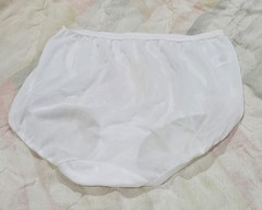 Vintage Dixie Belle Semi Sheer Nylon Brief Underwear/Panties Size 6 Hips 37-39