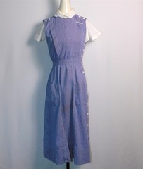 Vtg 1950s ALDRICH & ALDRICH Apparel For The Nurse Chicago Blue Gingham Uniform