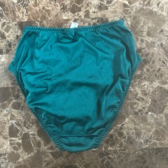 NWOT VTG 80s 90s Shiny Satin Bikini Granny panties S Green Silky Nylon Wet Look