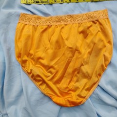 Vtg Fruit Of The Loom Sz-7 Sheer Nylon Hi Waist Brief Panties