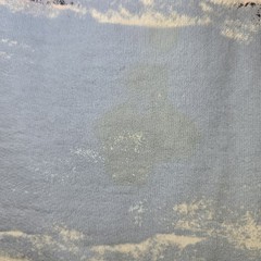 Vtg Northern Reflections Sweatshirt XL Grandmacore Cottagecore Nature Flaws