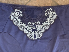 Sheer 9/2XL Navy Blue Embroidered Front Hipster Brief Panties NEW NWOT