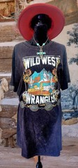 Blue Velvet vintage Style Anthropologie Distressed boho t-shirt Tunic Top Xl Nw