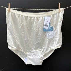 Carole Vintage Panties Sissy Nylon Ivory Brief Lace Applique New NOS NWT Size 7