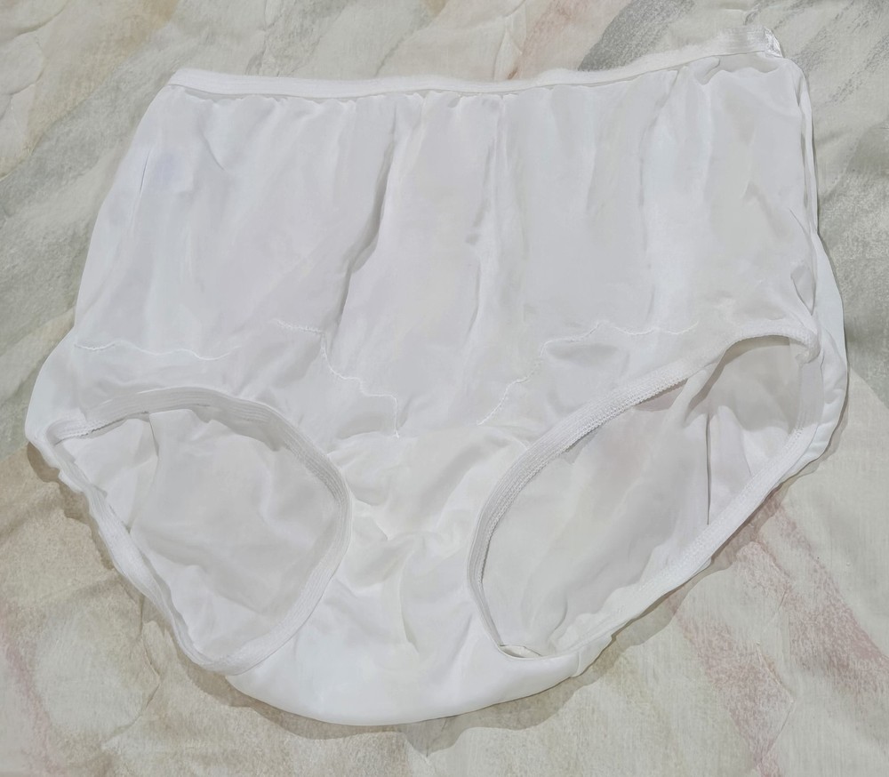Vintage Dixie Belle Semi Sheer Nylon Brief Underwear/Panties Size 6 Hips 37-39