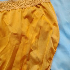 Vtg Fruit Of The Loom Sz-7 Sheer Nylon Hi Waist Brief Panties