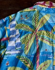 Vintage 90’s Ken Done Art And Design Shirt Small Tropical Bold Island Button USA