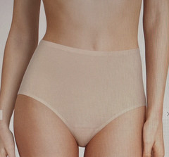 CHANTELLE OS (S-XL) Nude Dore Soft Stretch Full Brief Panties #1370