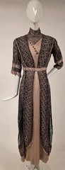 1912 TITANIC ERA EDWARDIAN CHANTILLY LACE ENCASED SILK EVENING GOWN DRESS
