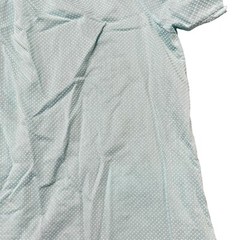 Vintage 1960s Robins Egg Blue Swiss Dot Lace Snap Housecoat