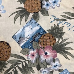 HILO HATTIE Hawaiian Original 2 Pc Set Medium Shorts Top Blouse Floral Tour Vtg